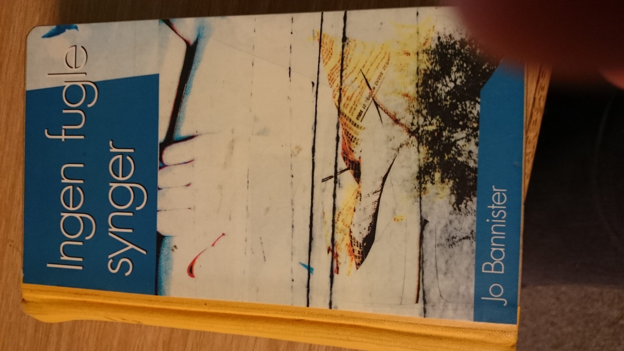 Ingen fugle synger Jo Bannister