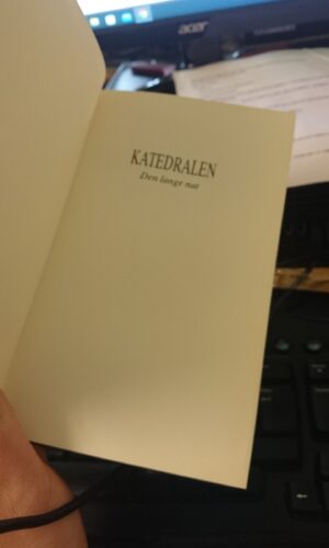 Katedralen, den lange nat - Nelson De Mille