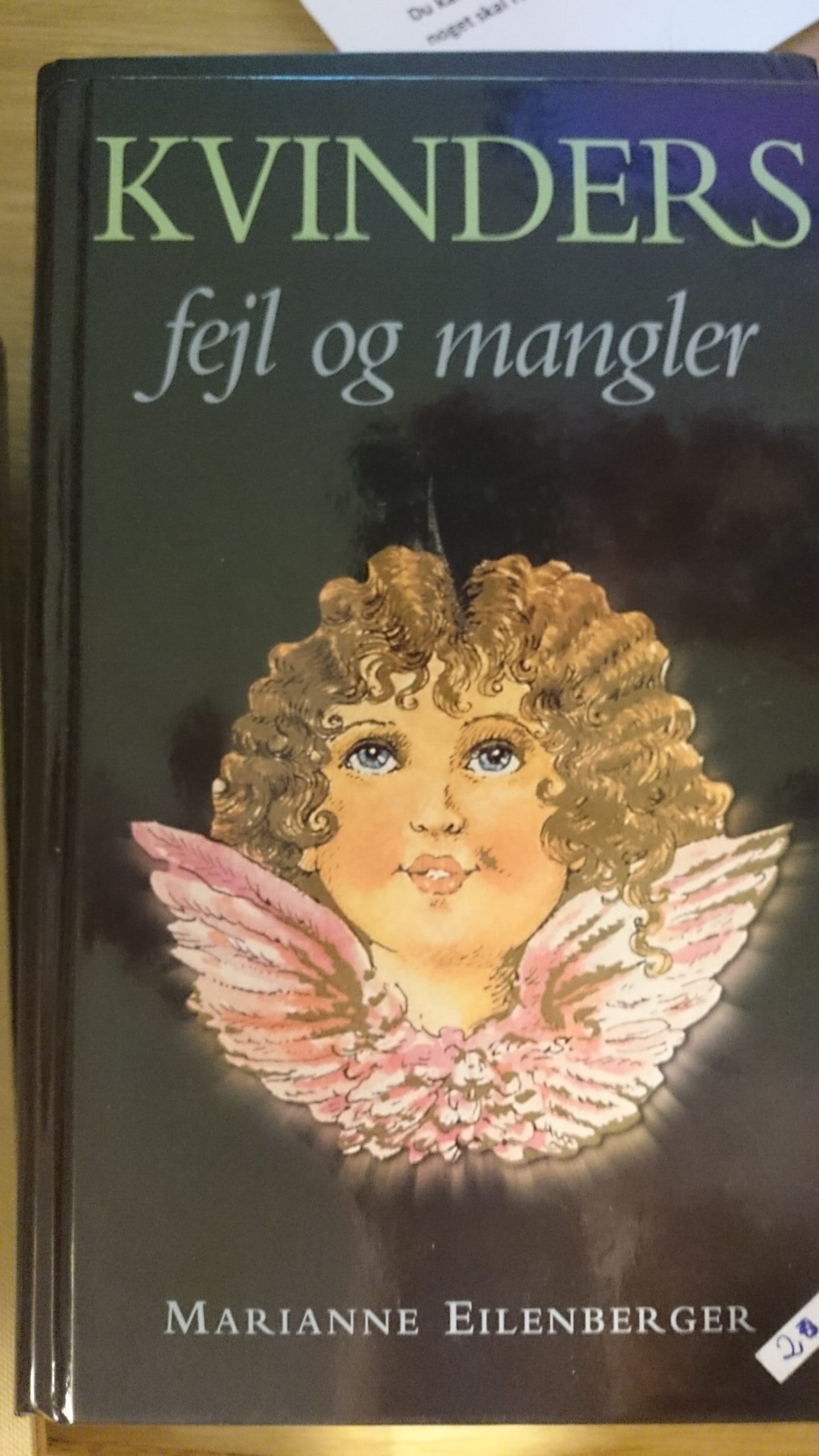 Kvinders fejl og mangler - Marianne Eilenberger
