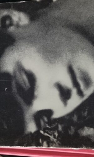 For frihed og ære - Sophie Scholls korte liv. Hermann Vinke