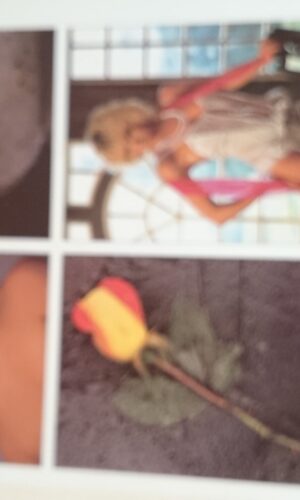 Home studio handbook. Courtenay