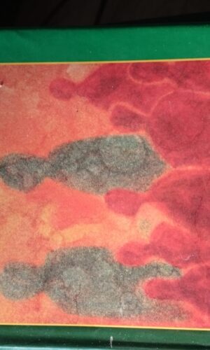 Elskede Ukendte. Kirsten Thorup