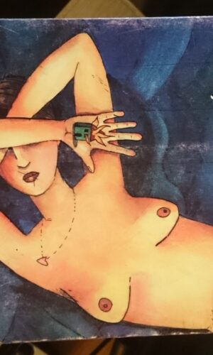 Så Langt øjet rækker. Lesley Glaister