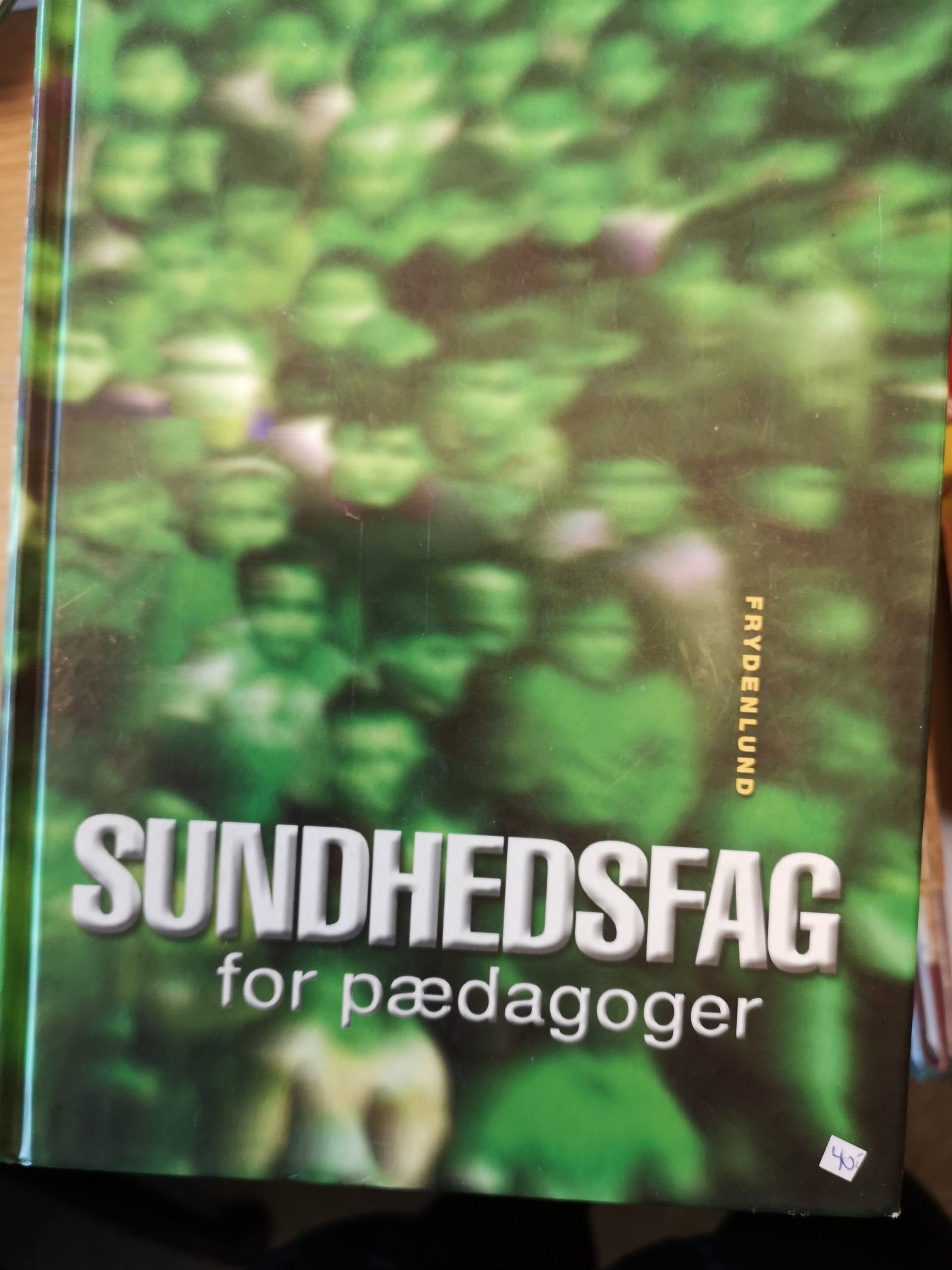 Sundhedsfag for pædagoger - Grit Niklasson