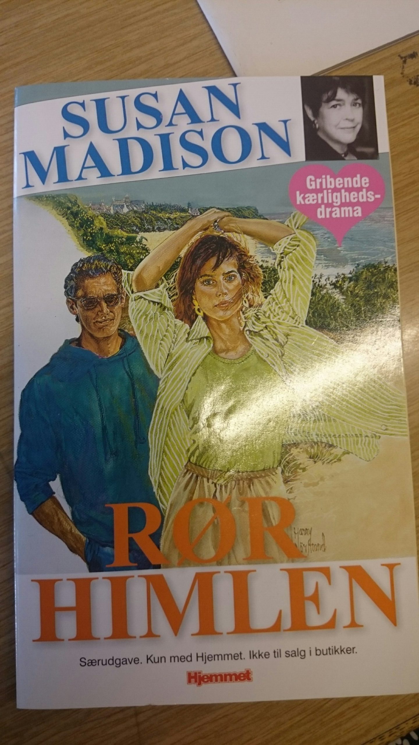 Rør himlen - Susan Madison