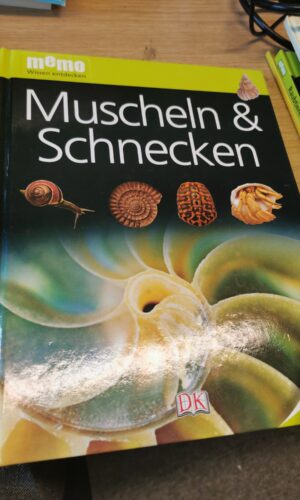 Muscheln & Schnecken
