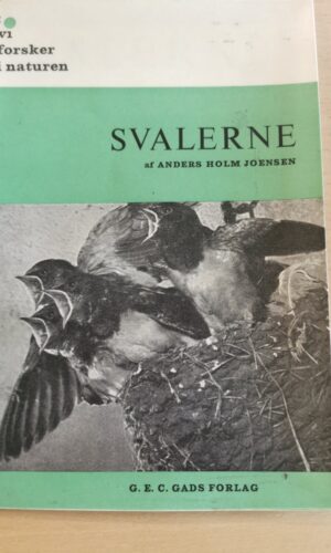 Anders Holm Joensen: Svalerne