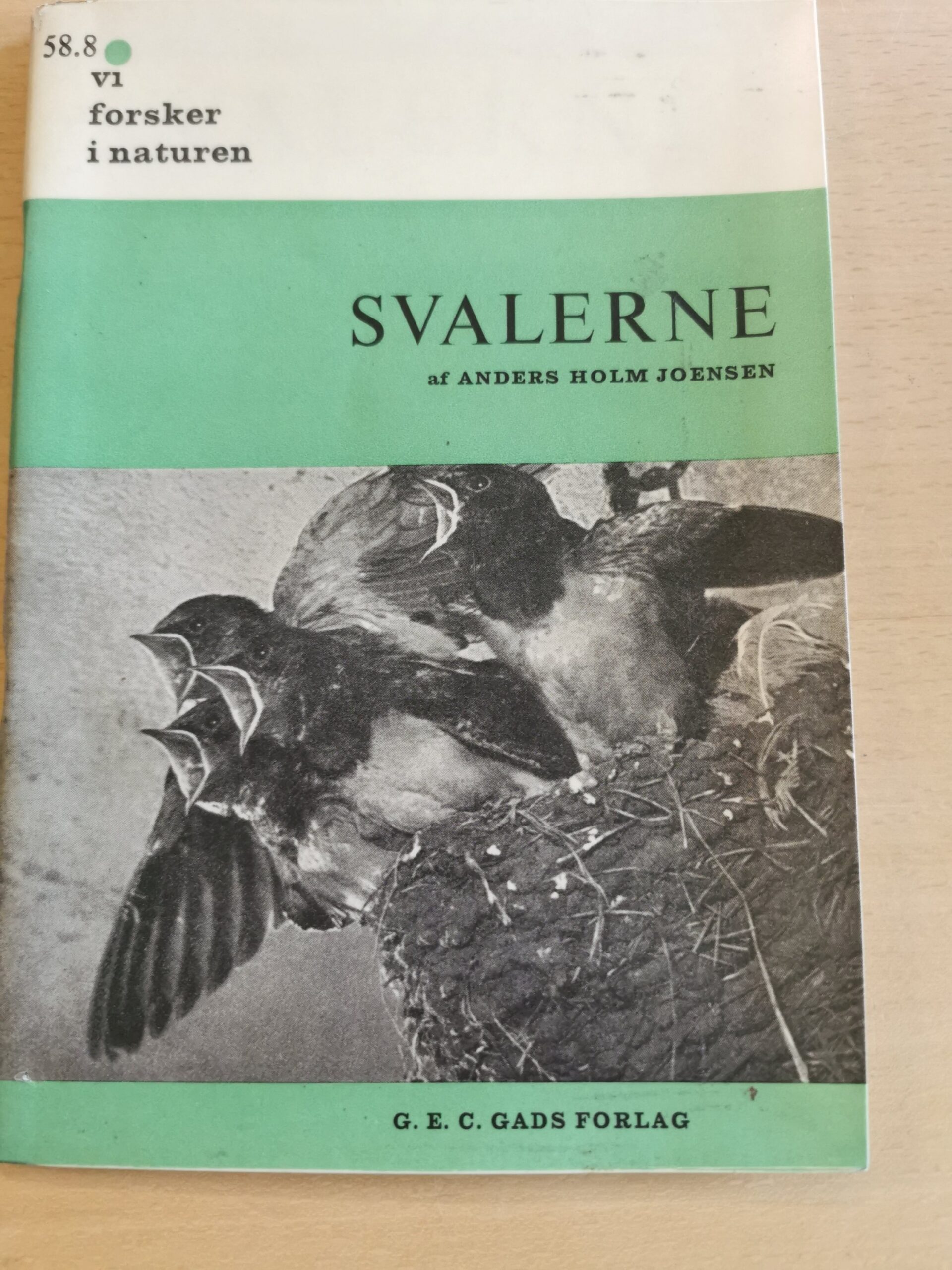 Anders Holm Joensen: Svalerne