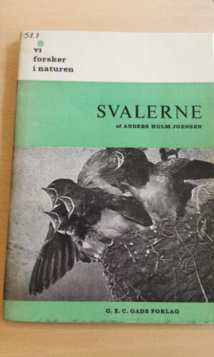 Anders Holm Joensen: Svalerne