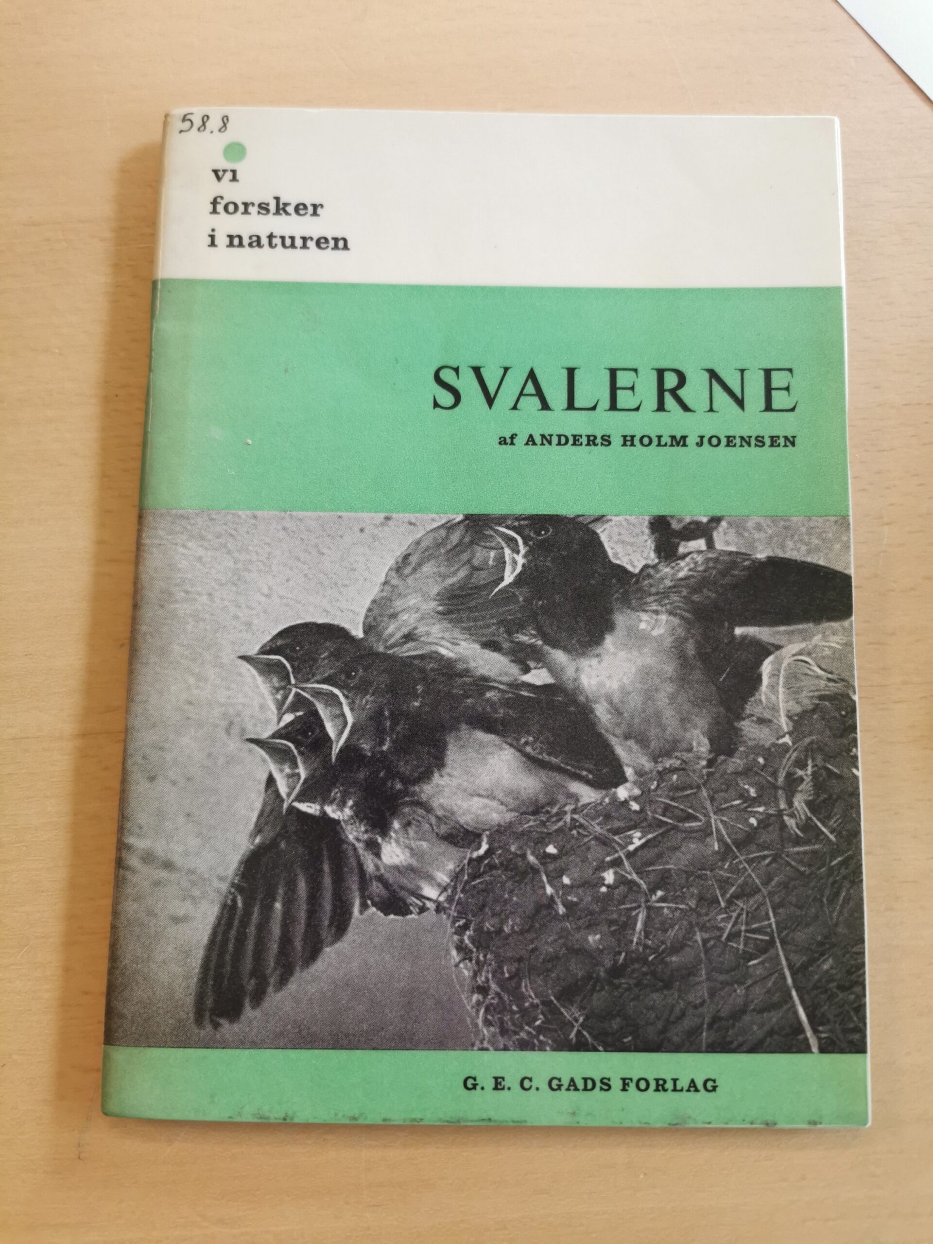 Anders Holm Joensen: Svalerne