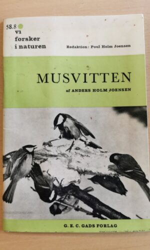 Anders Holm Joensen: Musvitten