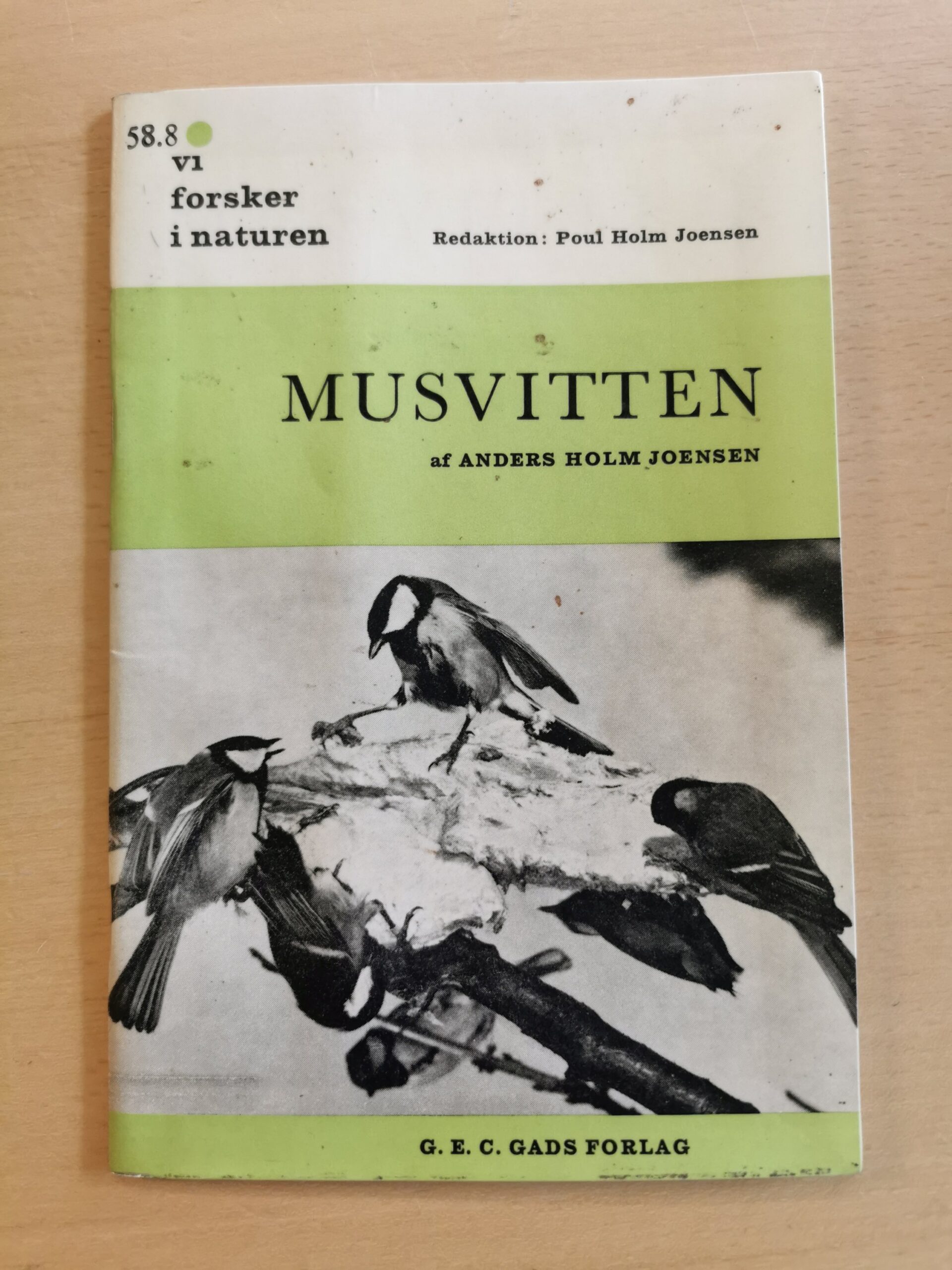 Anders Holm Joensen: Musvitten