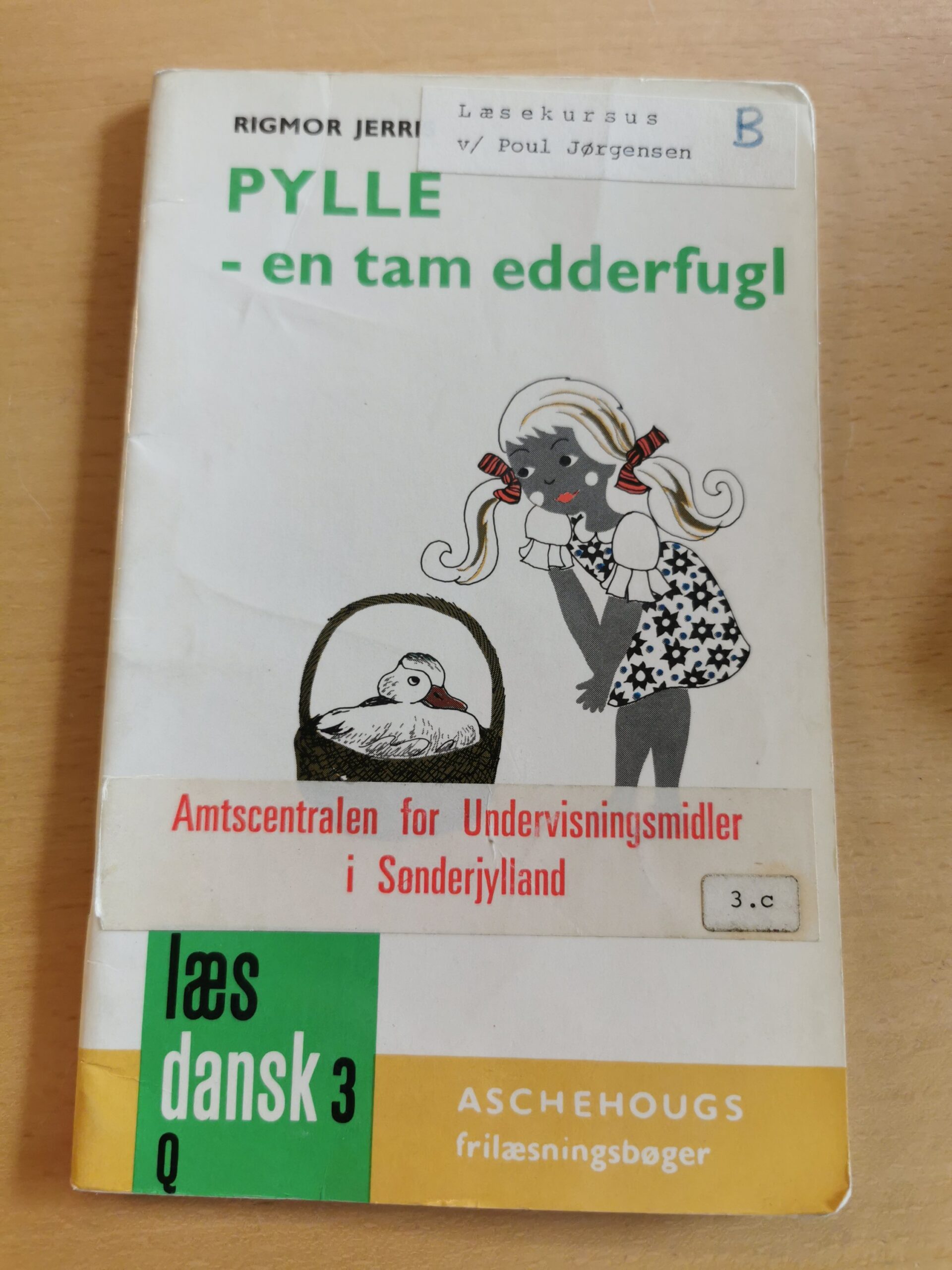 Rigmor Jerris: Pylle - en tam edderfugl
