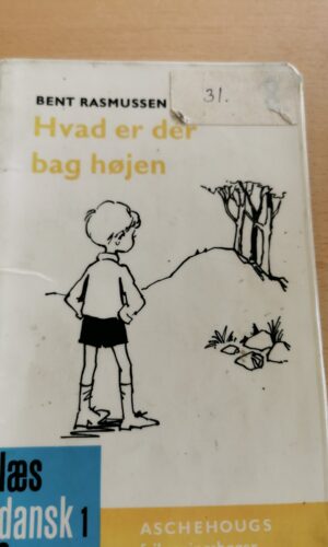 Bent Rasmussen: Hvad er der bag højen