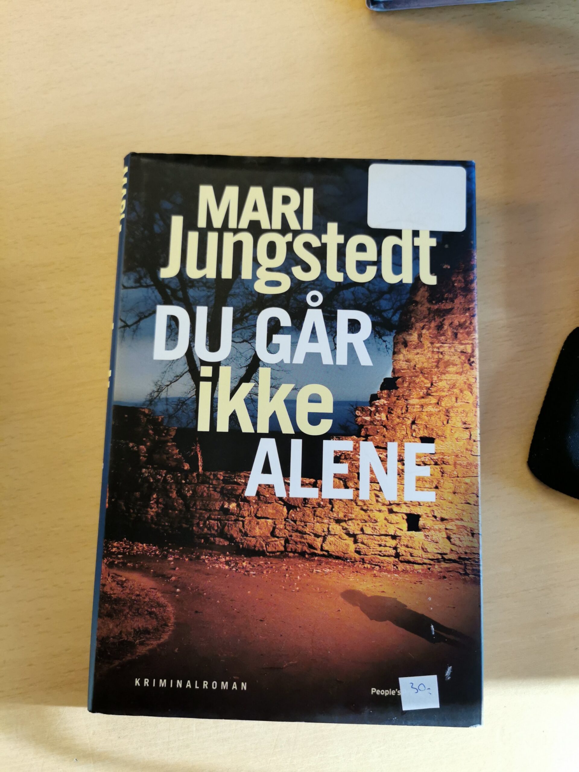 Du går ikke alene. Af Mari Jungstedt.