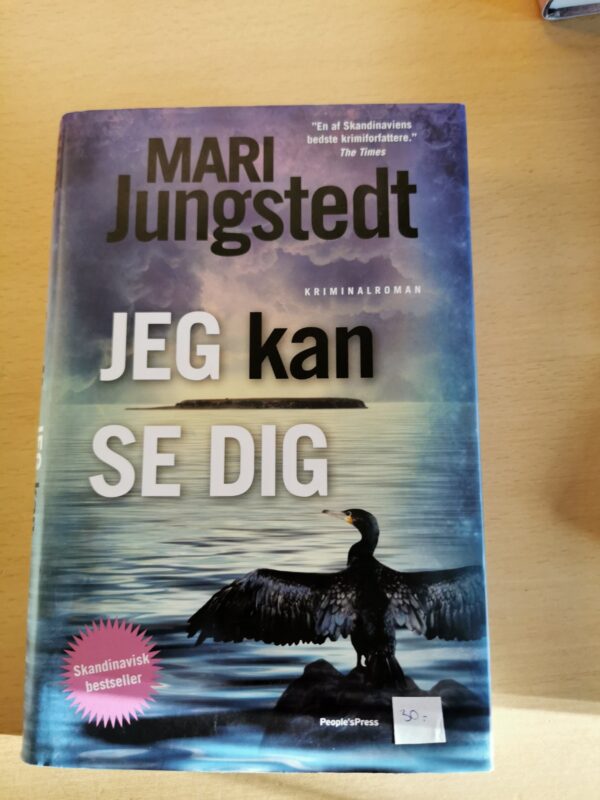 Jeg kan se dig. Af Mari Jungstedt.
