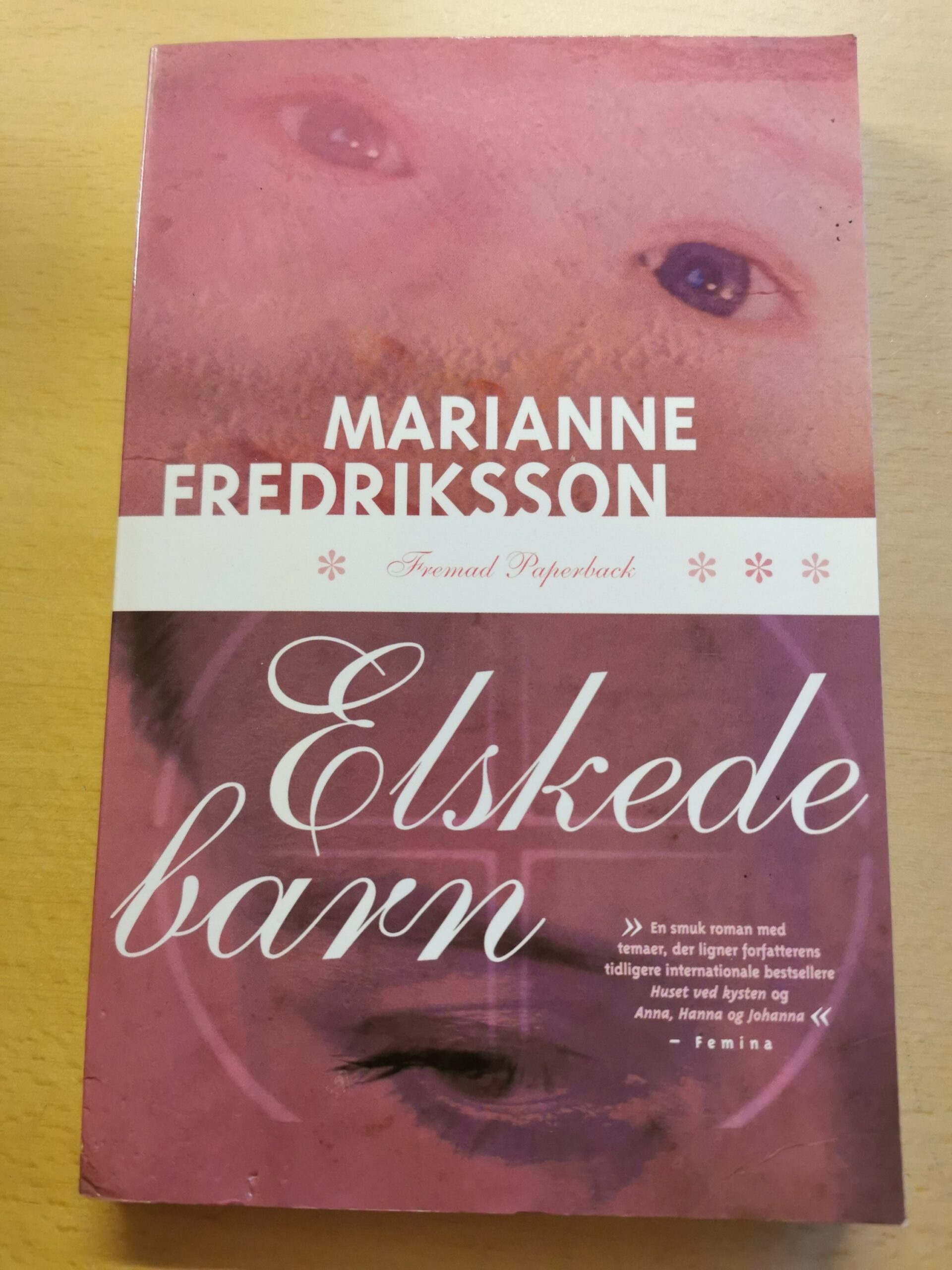 Marianne Fredriksson: Elskede barn