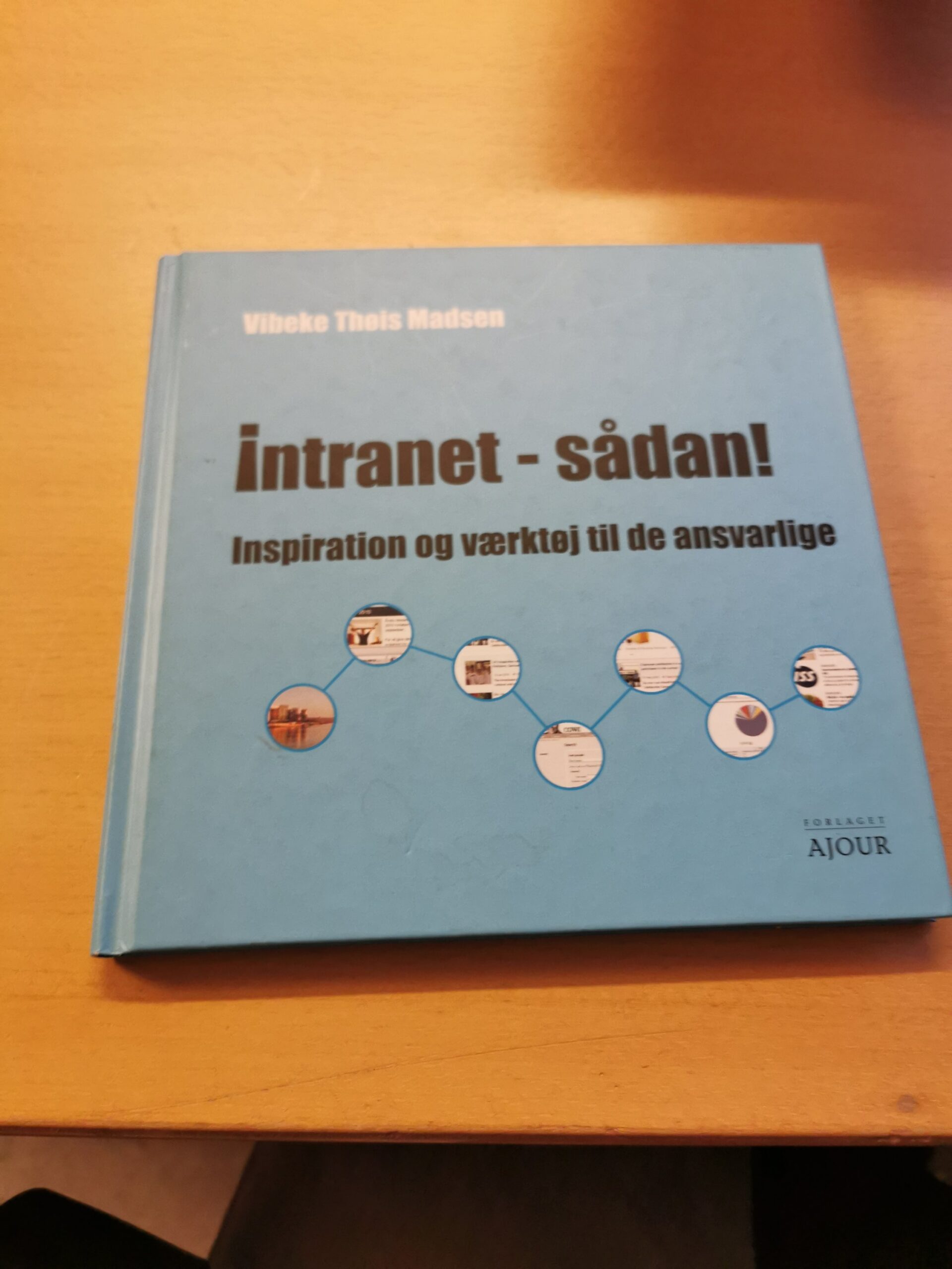 intranet sådan vibeke thøis madsen