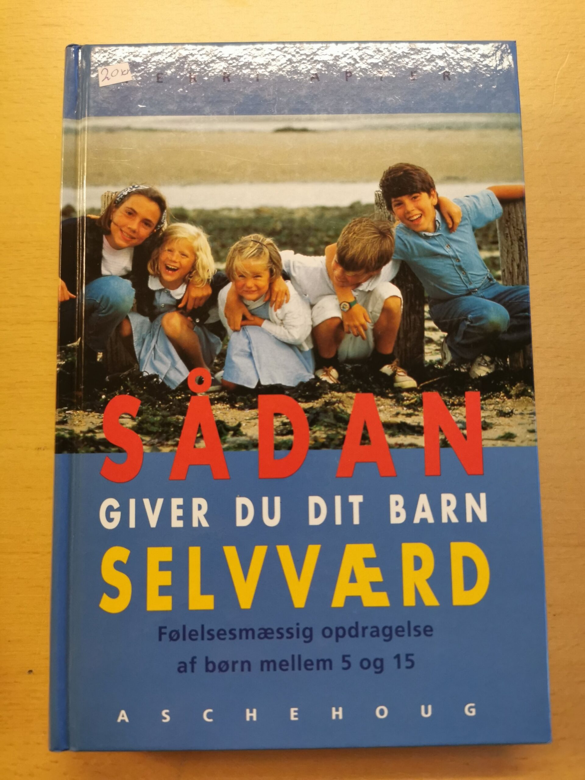 Terri Apter: Sådan giver du dit barn selvværd