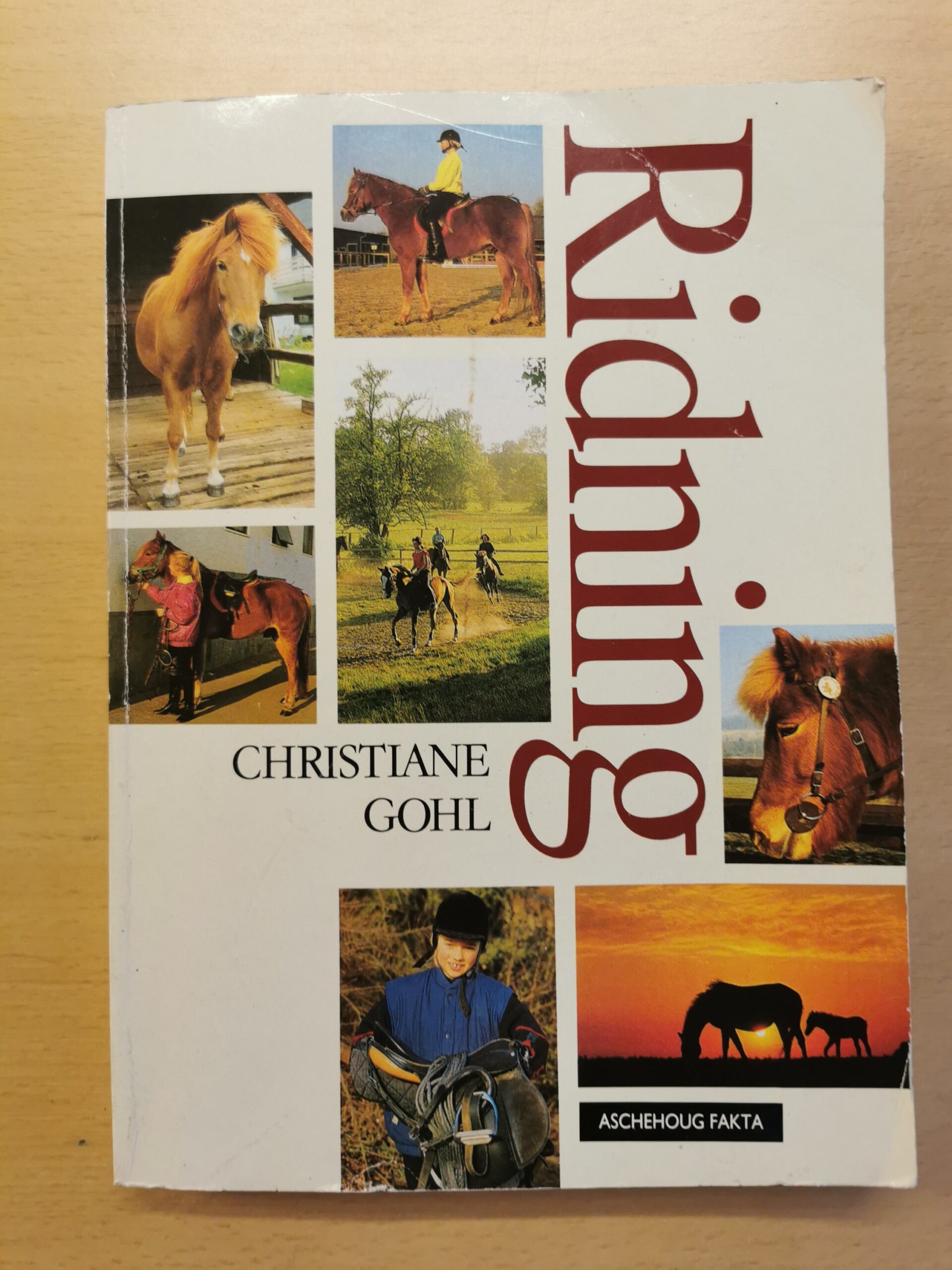 Christiane Gohl: Ridning