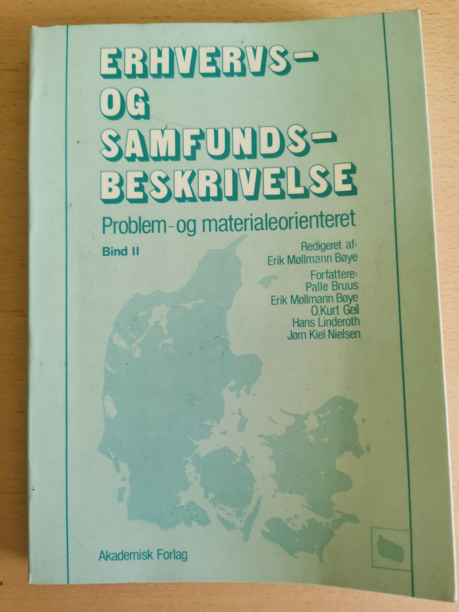 Erik Møllmann Bøye mm.: Erhvervs- og samfundsbeskrivelse - problem- og materialeorienteret - bind II