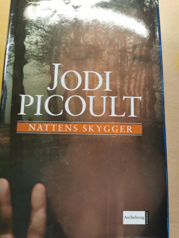 Nattens skygger - Jodi Picoult