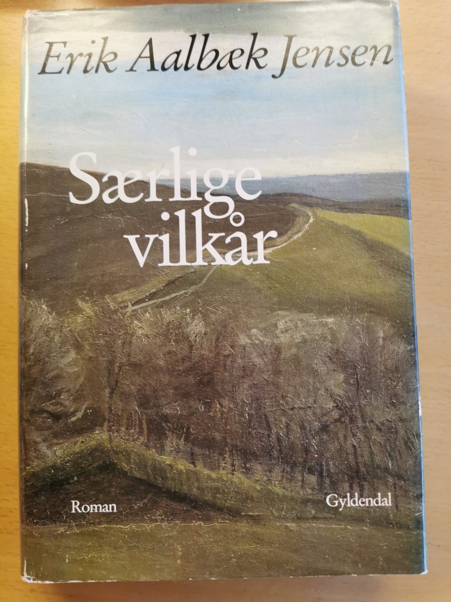 Særlige vilkår - Erik Aalbæk Jensen - skønlitteratur