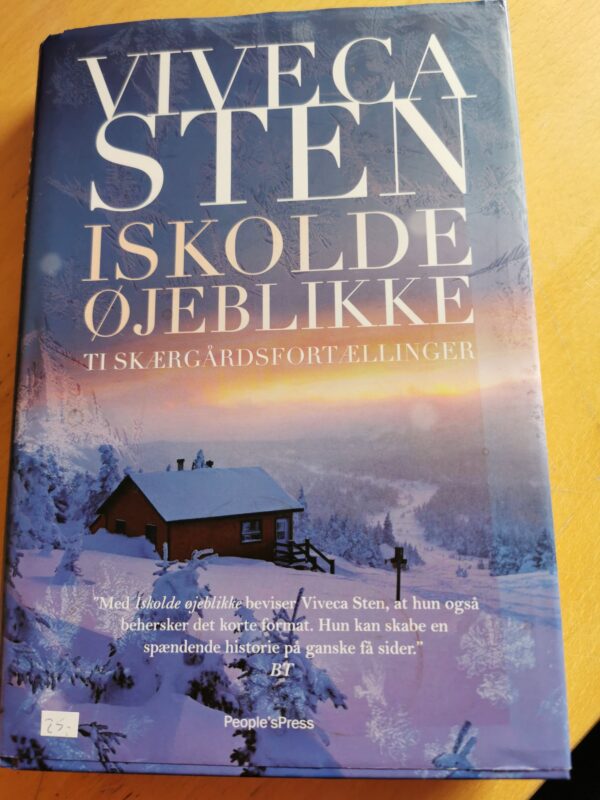 Iskolde Øjeblikke - Vivega Sten