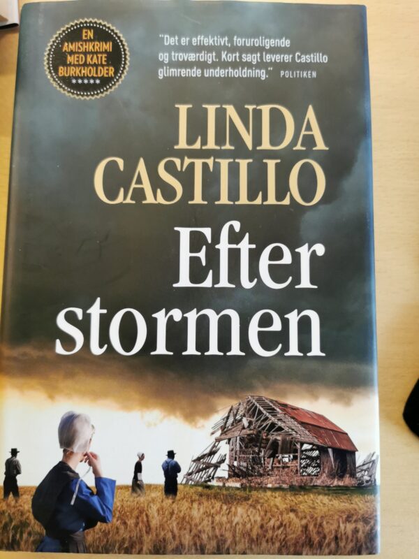Efter Stormen - Linda Castillo