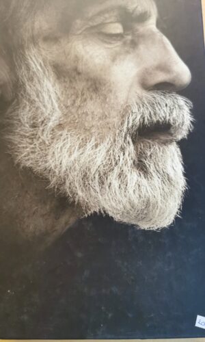 Stoner - John Williams