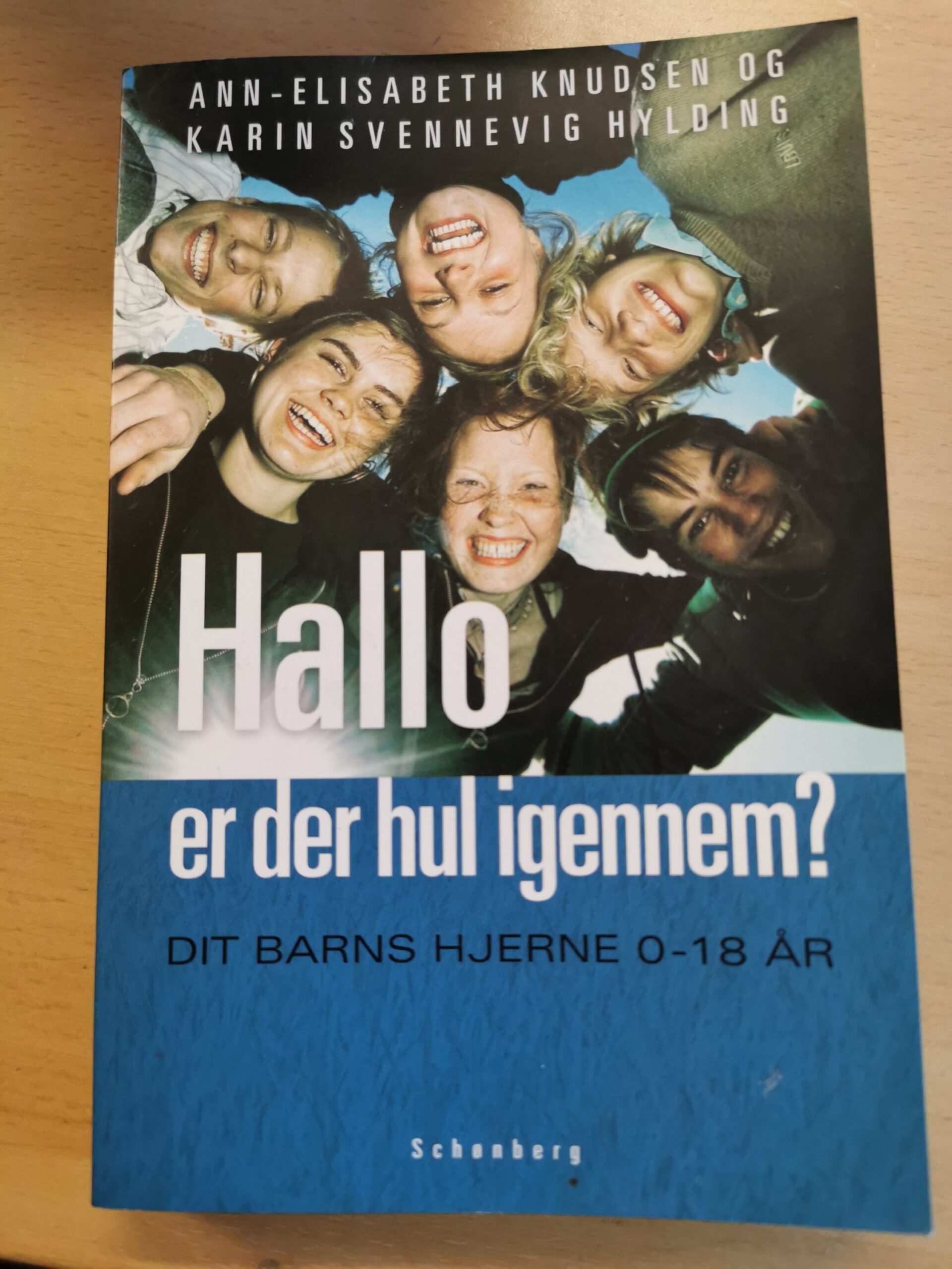 Hallo er der hul igennem - Dit barns hjerne 0-18 år - Anne-Elisabeth Knudsen - Karin Svennevig Hylding