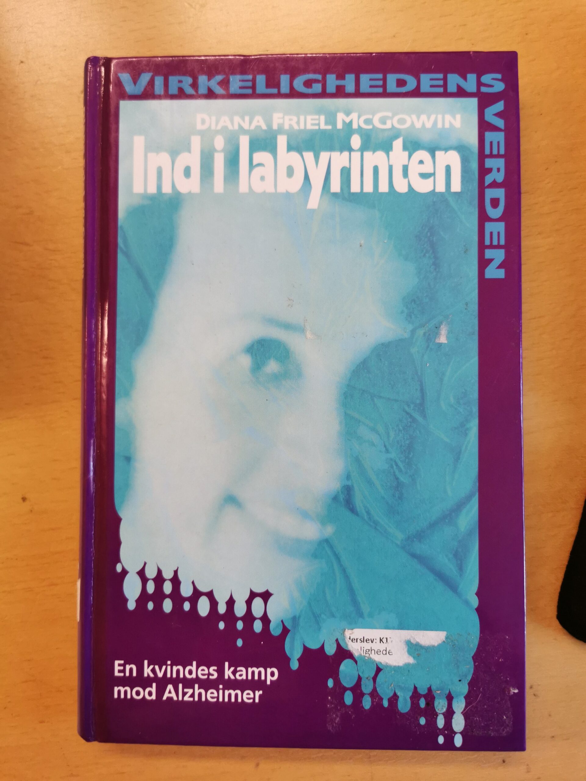 Virkelighedendens verden - Ind i labyrinten - Diana Friel McGowin