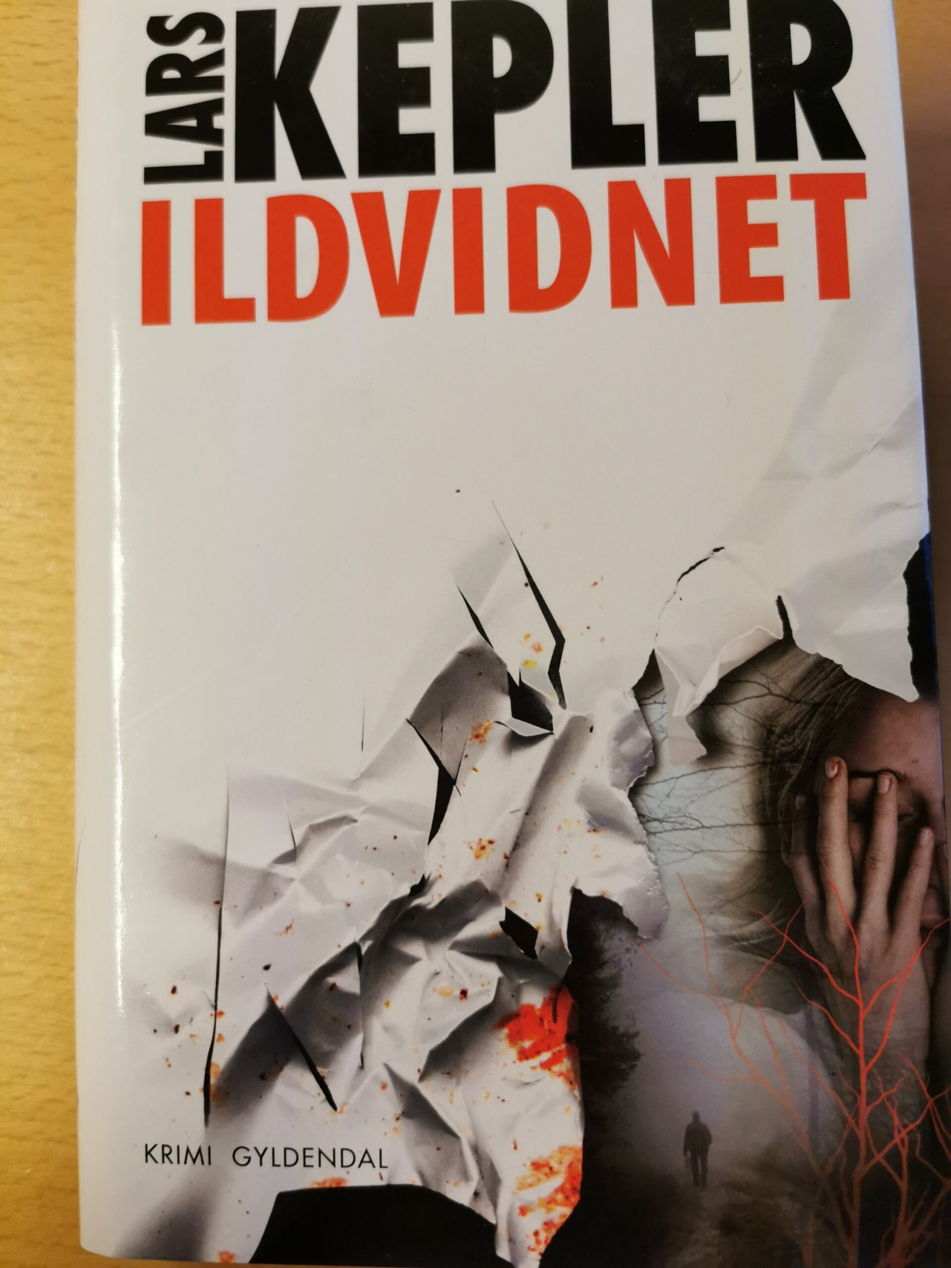 Ildvidnet - Lars Kepler