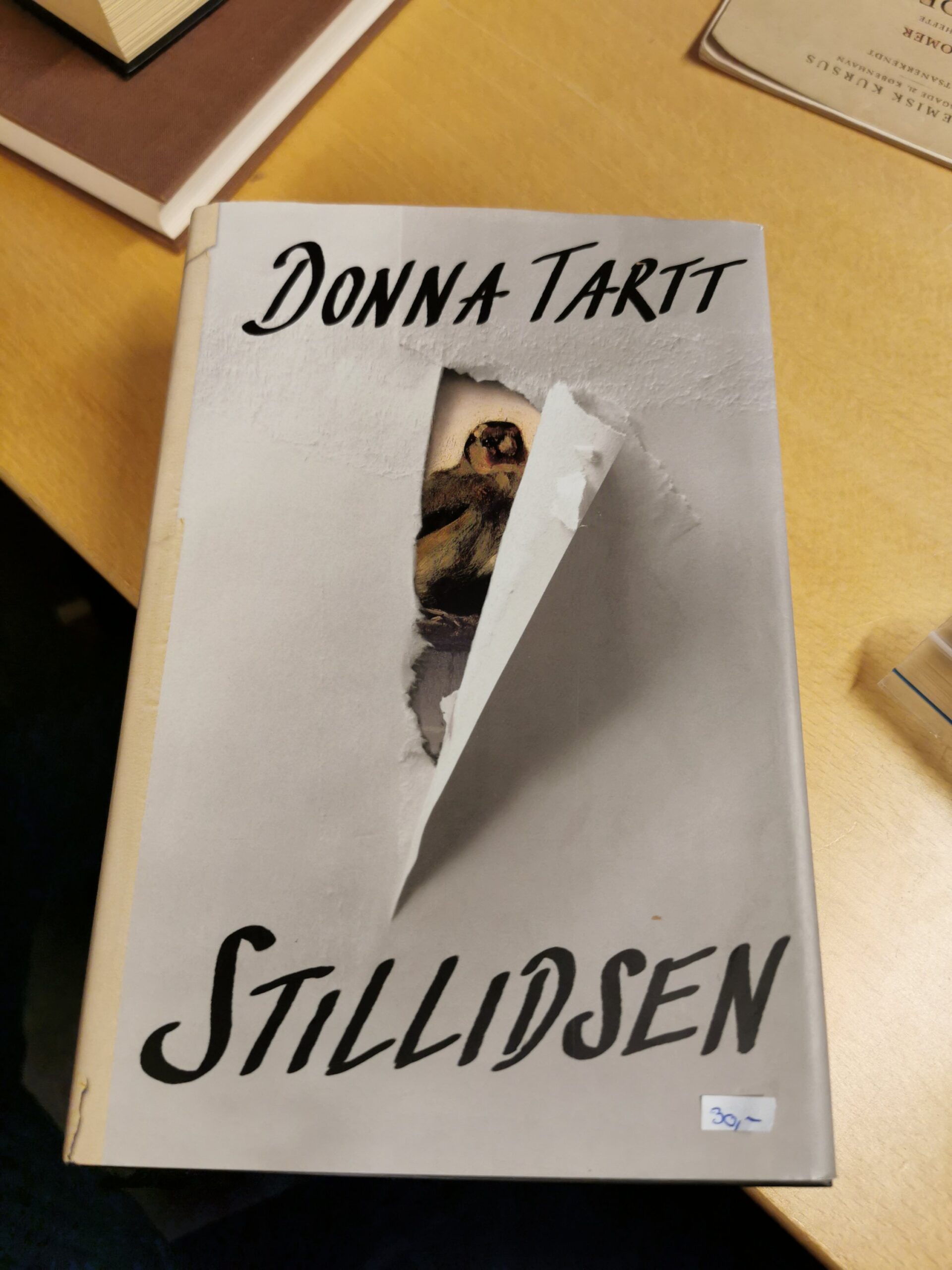 Stillidsen - Donna Tartt