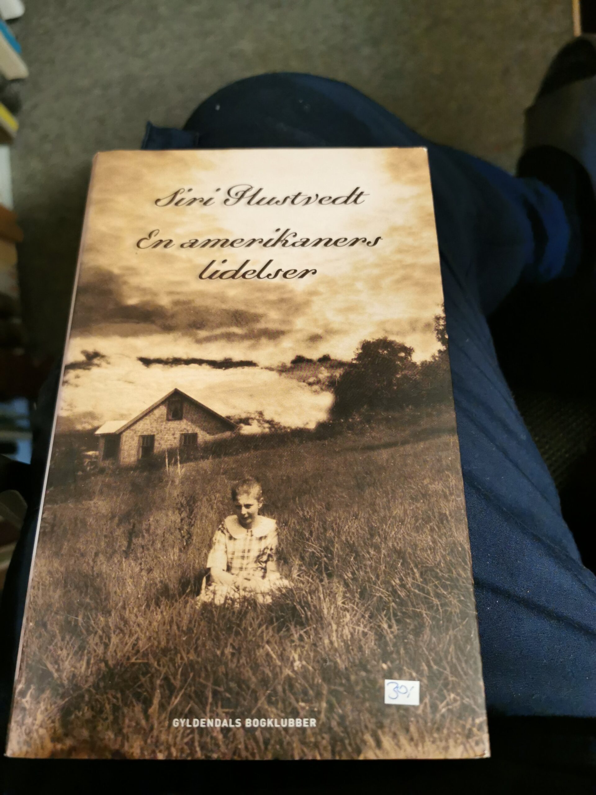 En amerikaners lidelser - Siri Hustvedt