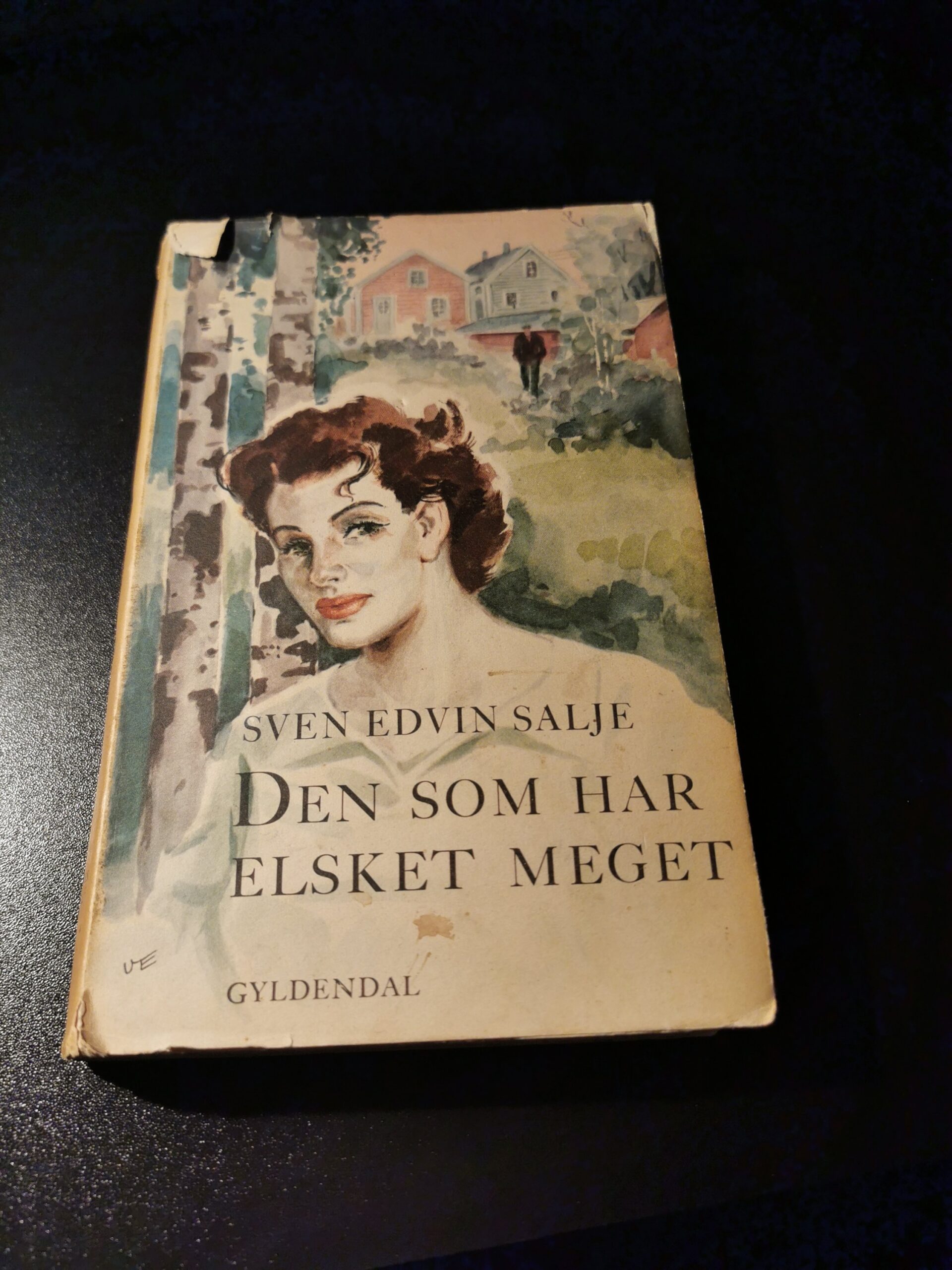 Den som har elsket meget - Sven Edvin Salje