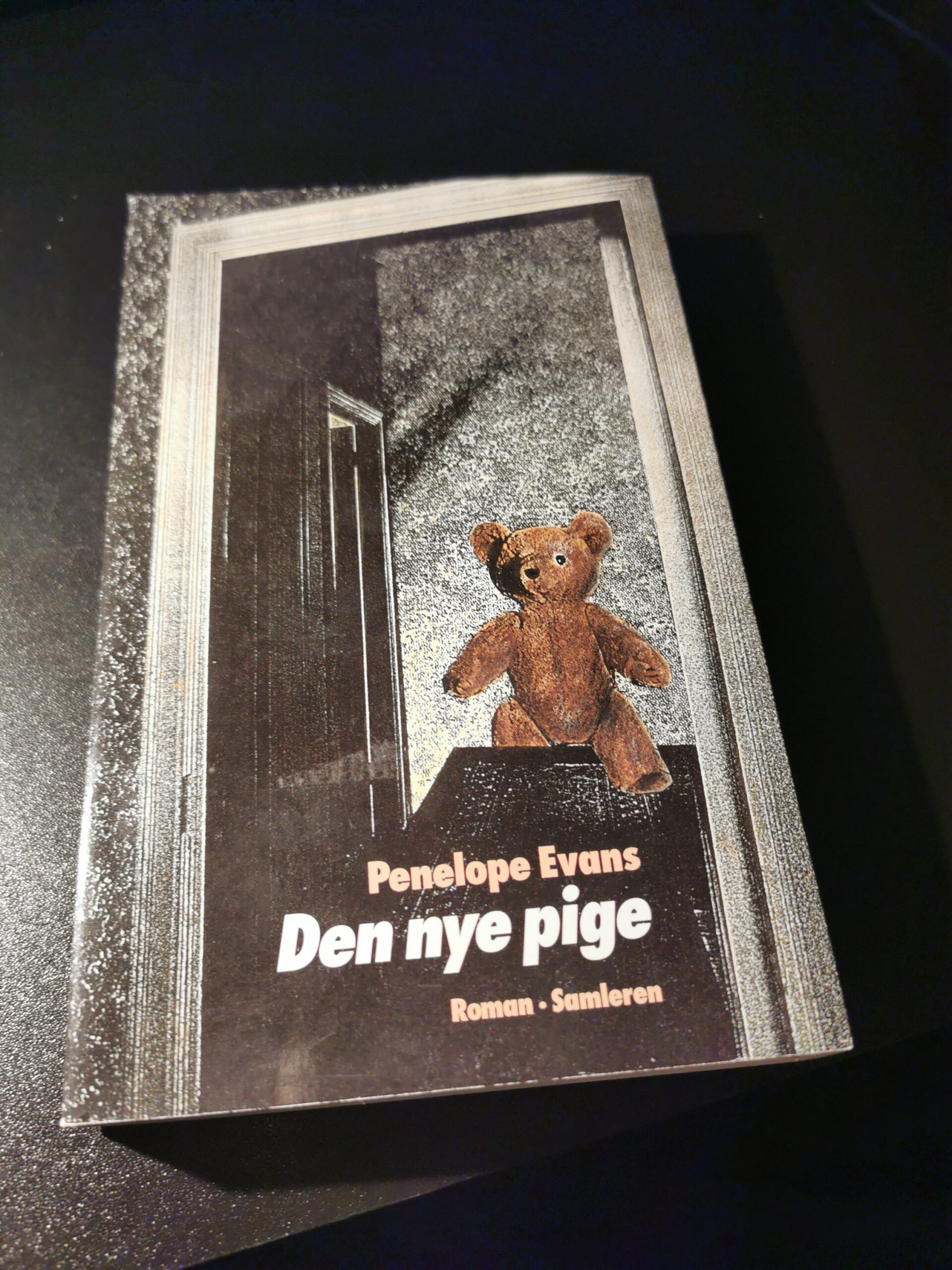 Den nye pige - Penelope Evans