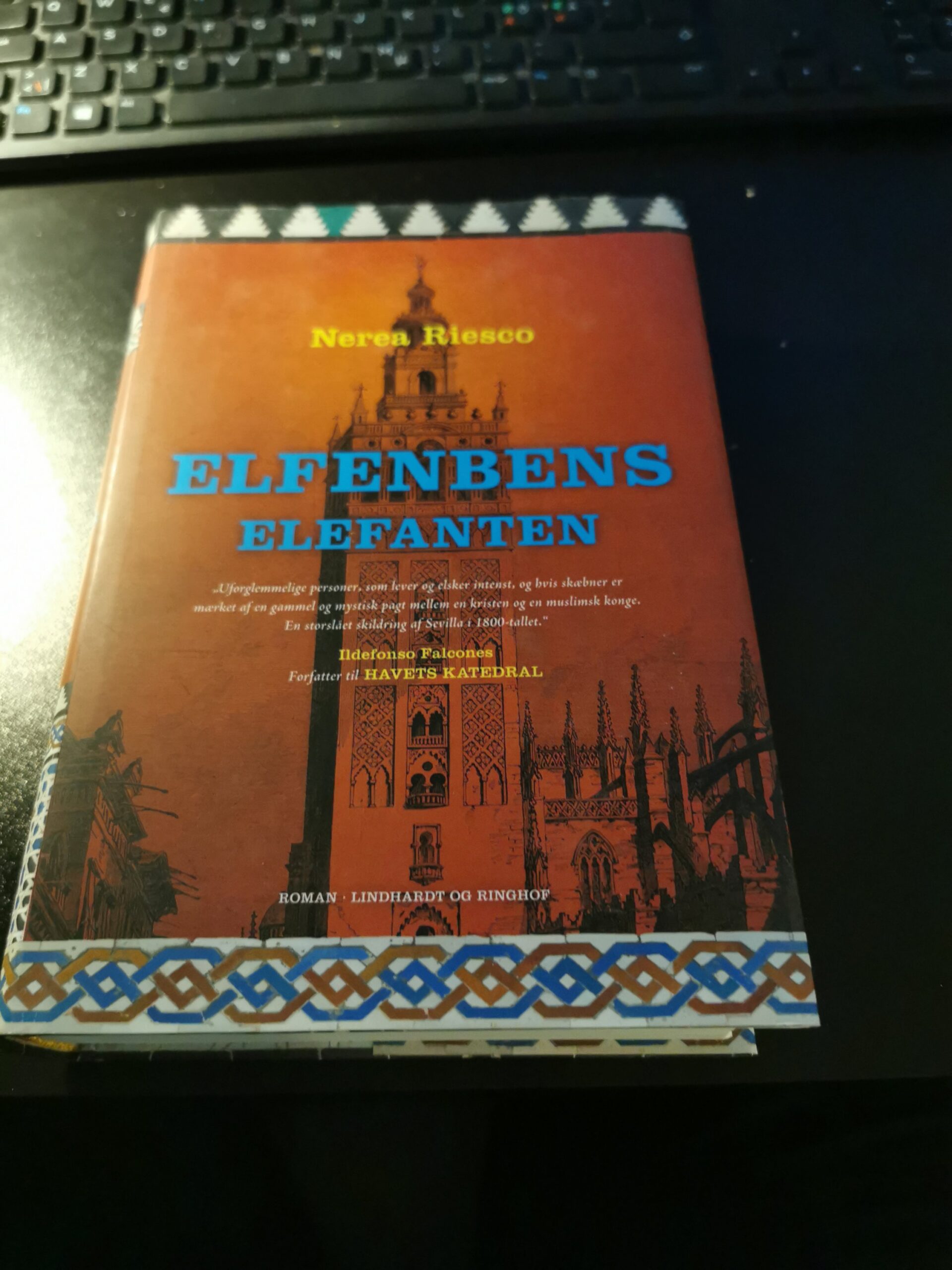 Elfenbens elefanten - Nerea Riesco