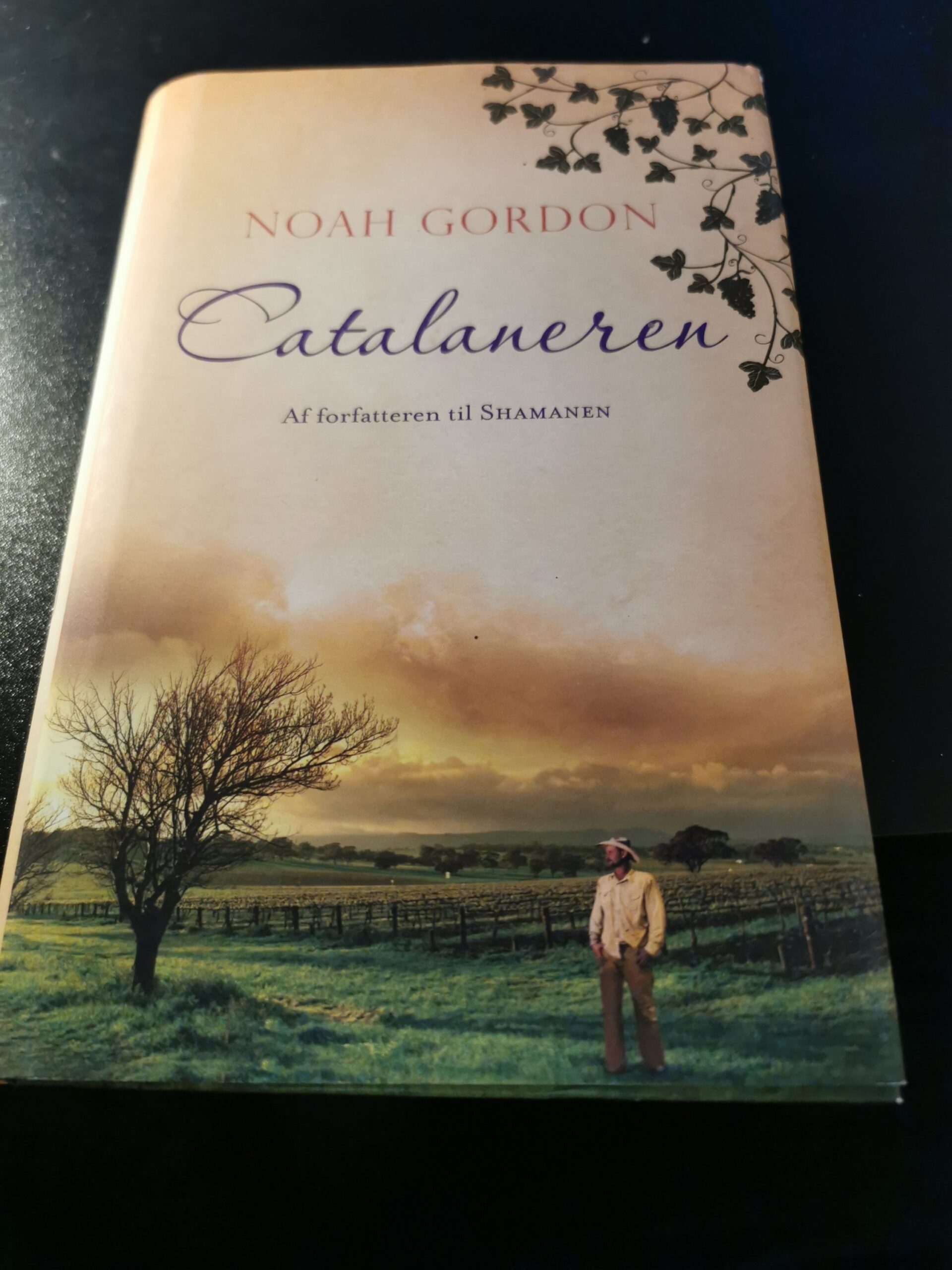 Catalaneren - Noah Gordon