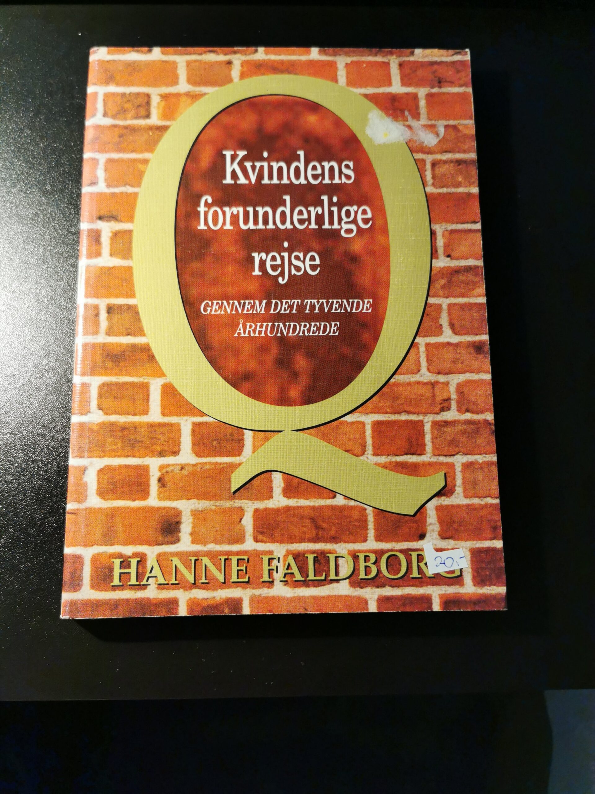 Kvindens forunderlige rejse - Hanne Faldborg