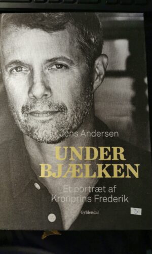 Under bjælken - Et  portræt af Kronprins Frederik