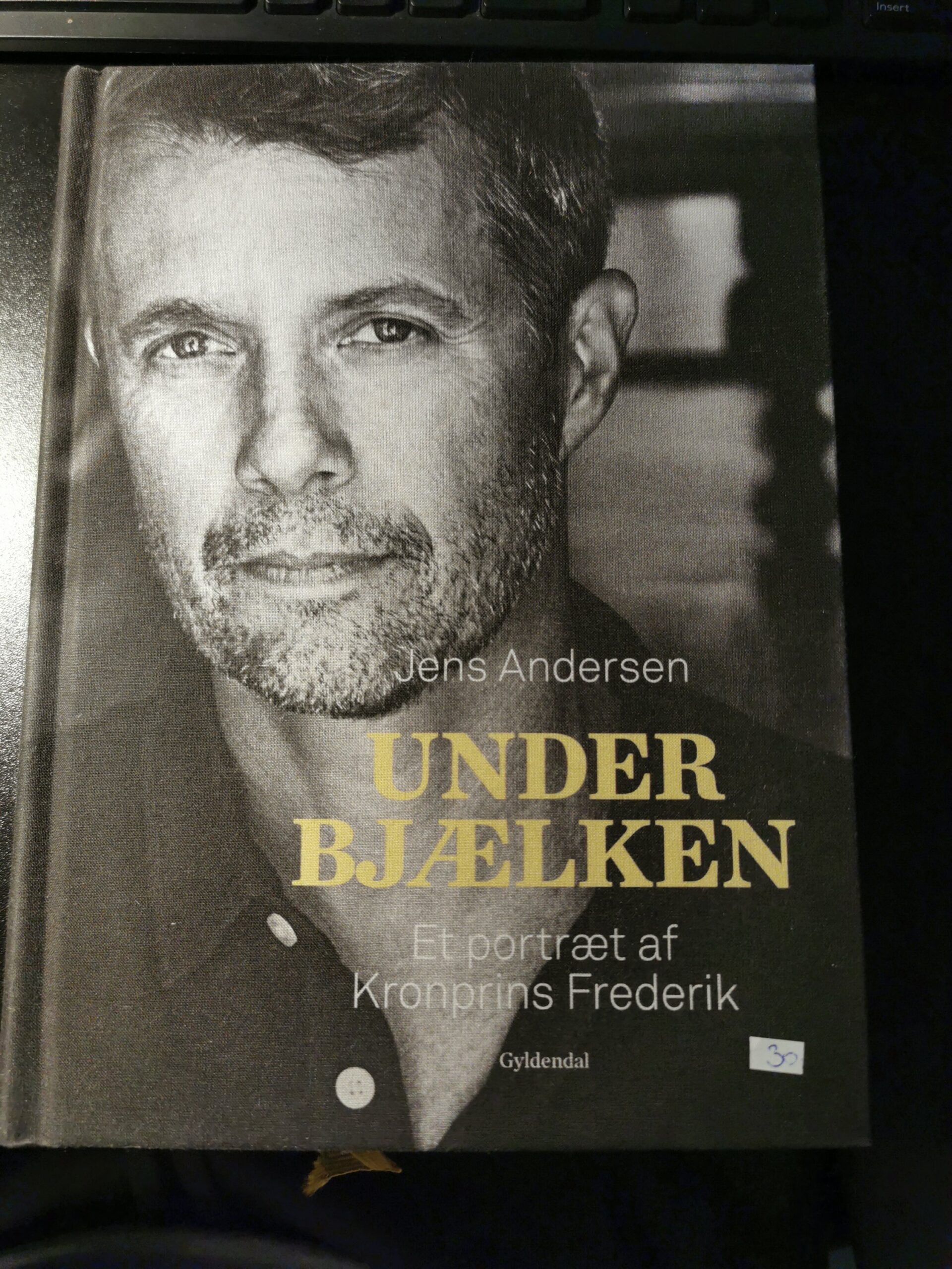 Under bjælken - Et portræt af Kronprins Frederik