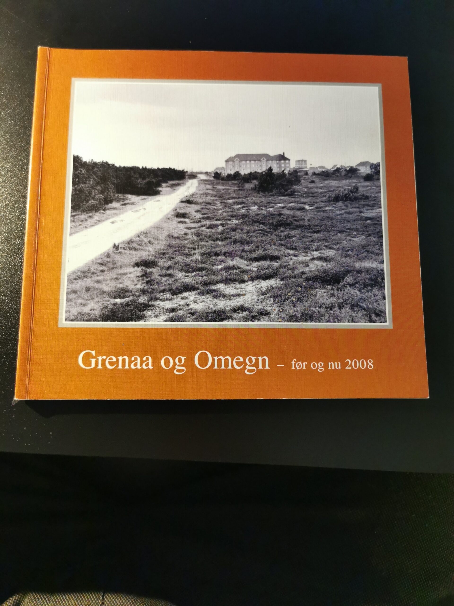 Grenaa og omegn før og nu 2008. Trine Grejsen