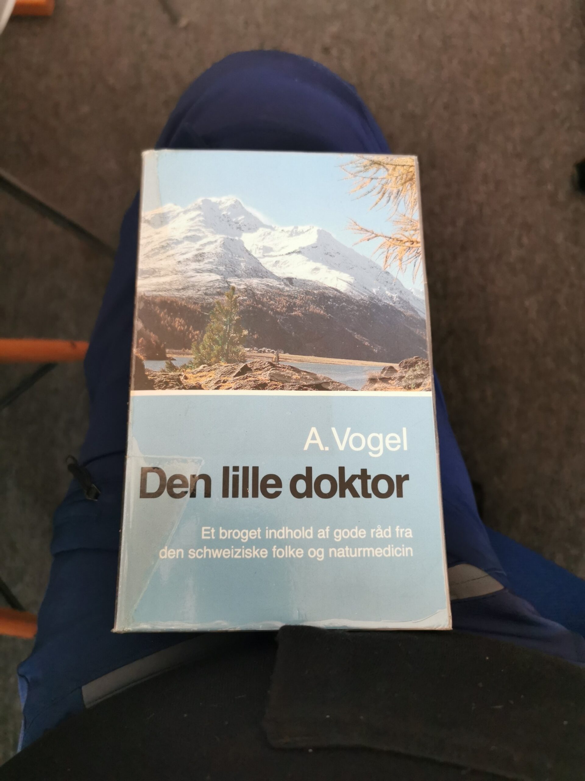 Den lille doktor, A. Vogel