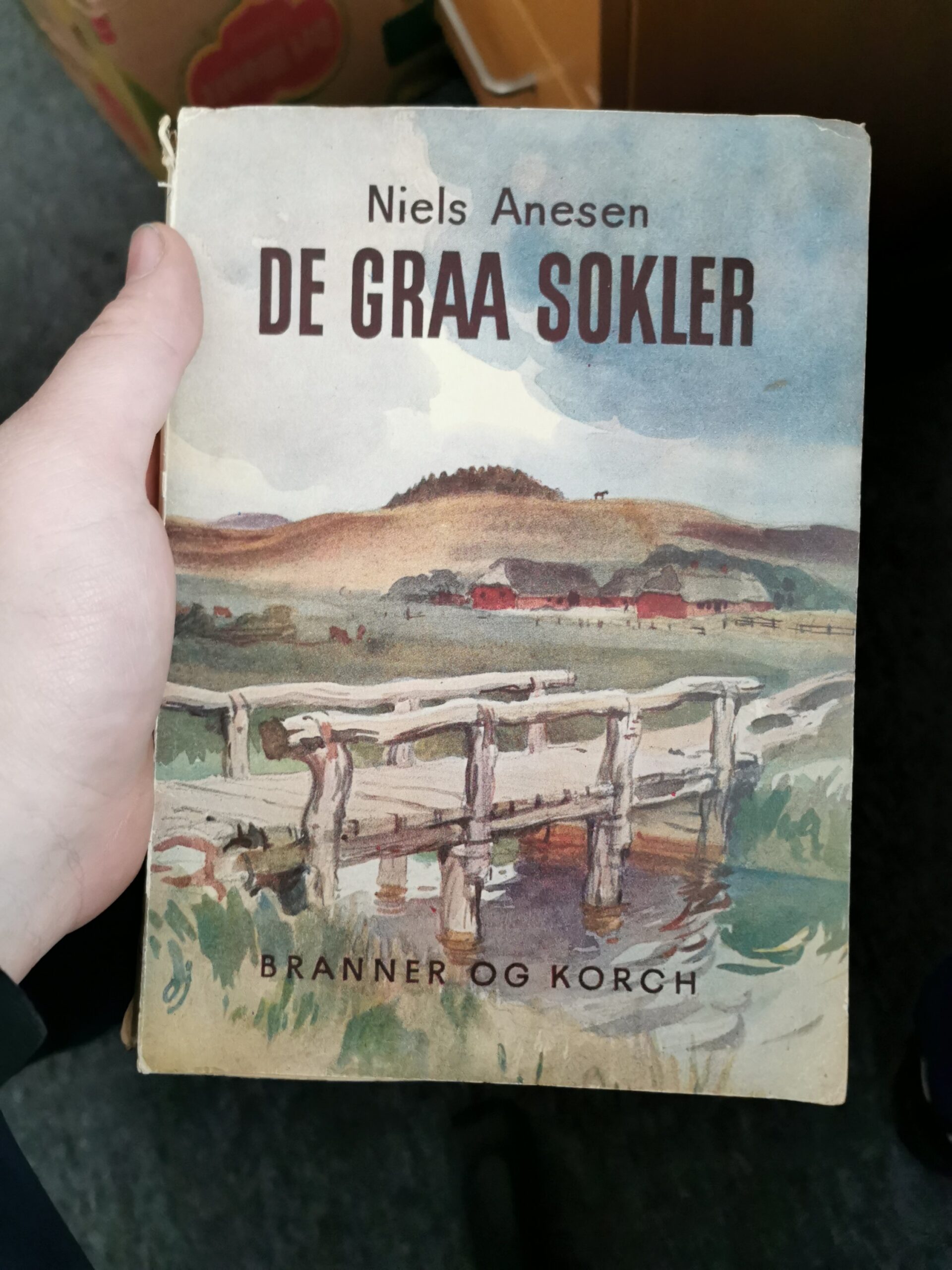 De graa sokler, Niels Anesen