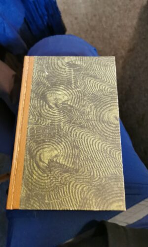 Stemmen fra en svunden verden, Desmond Bagley