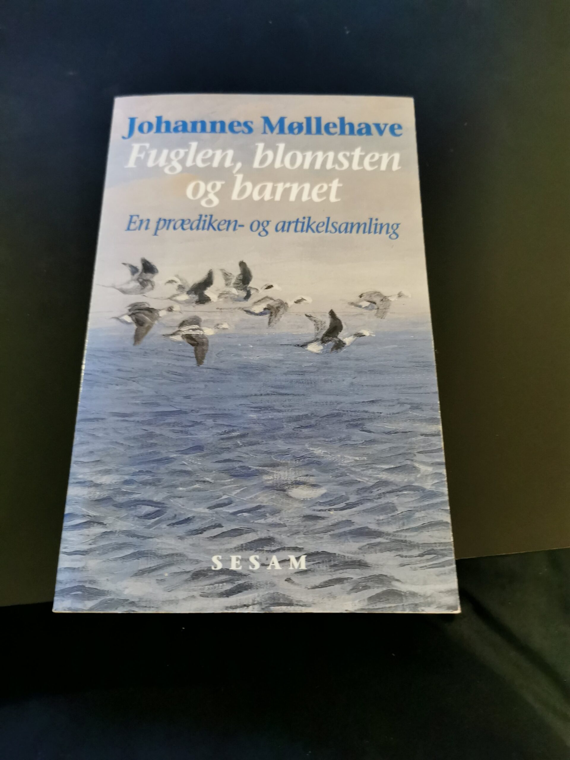 Fuglen, blomsten og barnet - Johannes Møllehave