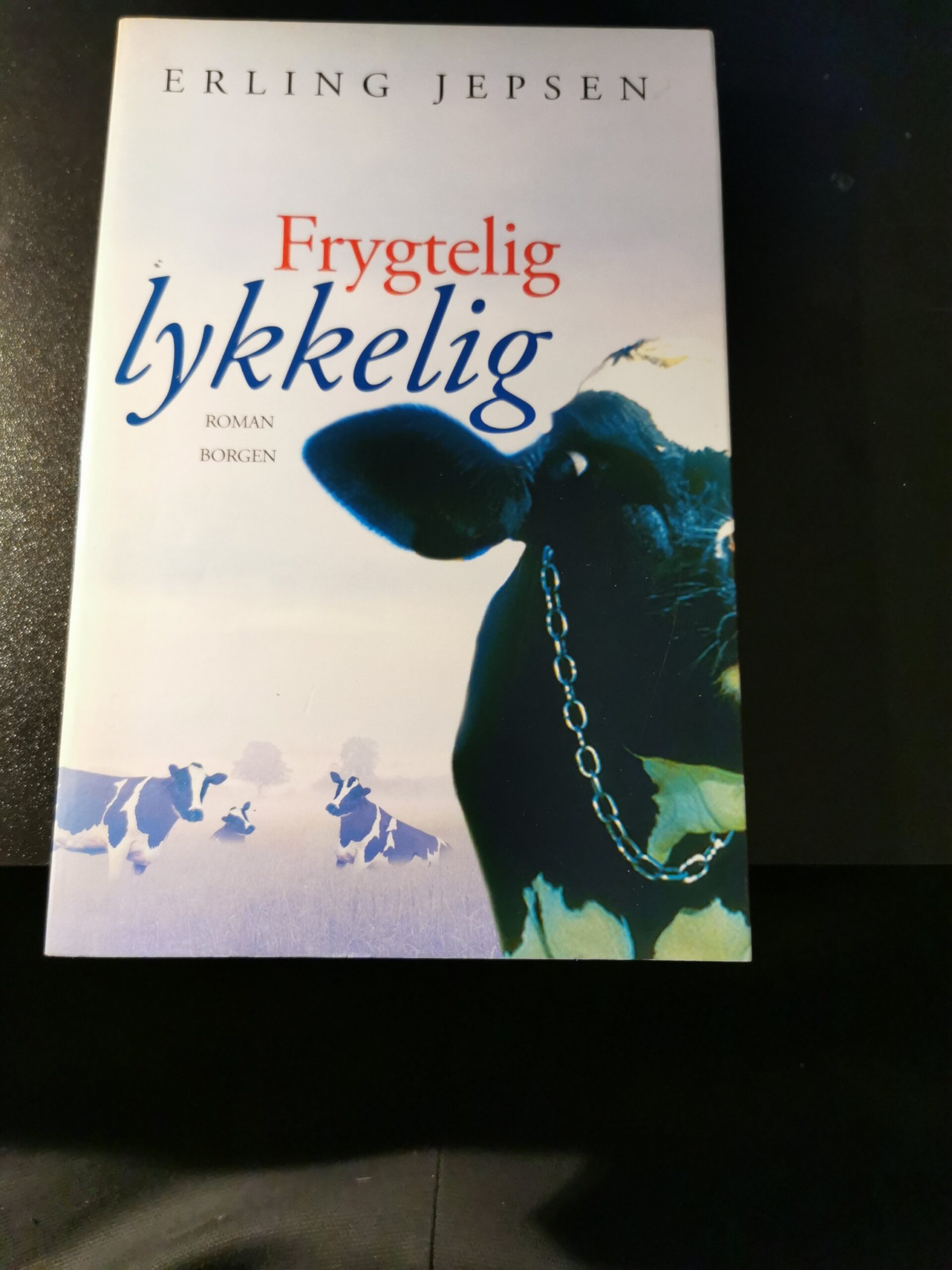 Frygtelig lykkelig, Erling Jepsen