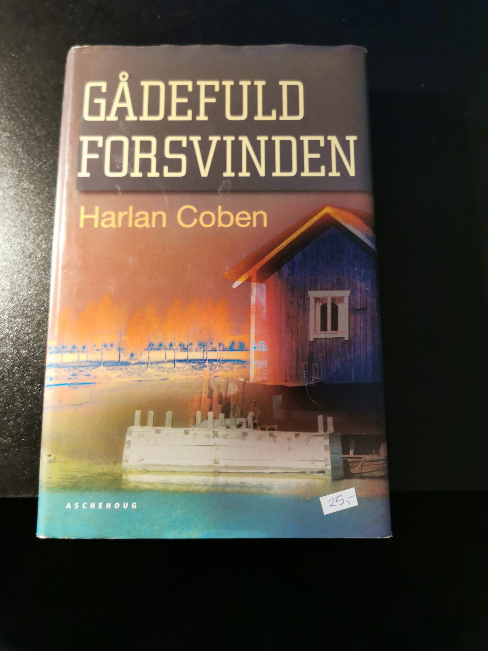 Gådefuld forsvinden, Harlan Coben