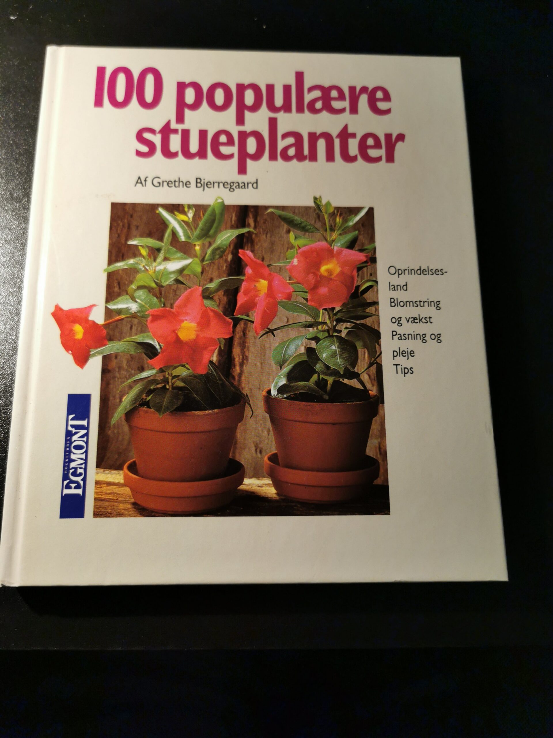 100 populære stueplanter - Grethe Bjerregaard